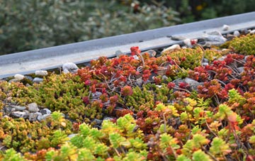 the cost of Beattock green roof installation