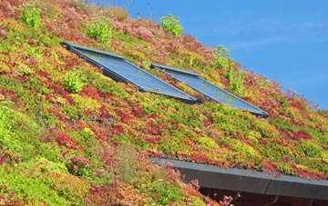 Beattock living roof systems