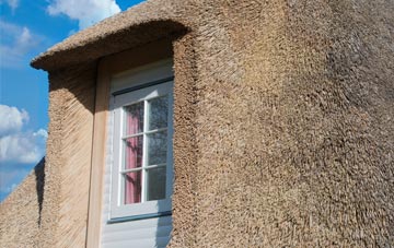 Beattock thatch roof disadvantages