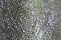 Beattock fibreglass roof work